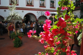 Hospital - Residencia  Jesús Nazareno